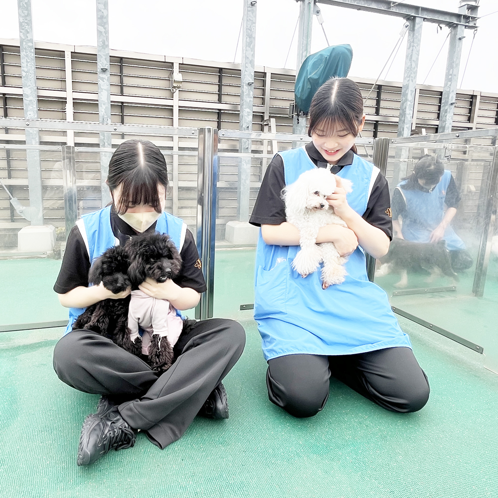☆５月５日こどもの日☆